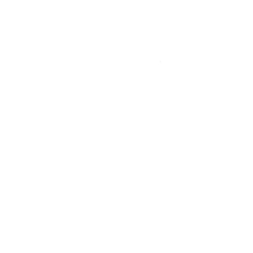 Logo Palais Sommer